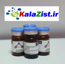 بافر نمونه SDS-PAGE kalazist بافر نمونه SDS-PAGE kalazist